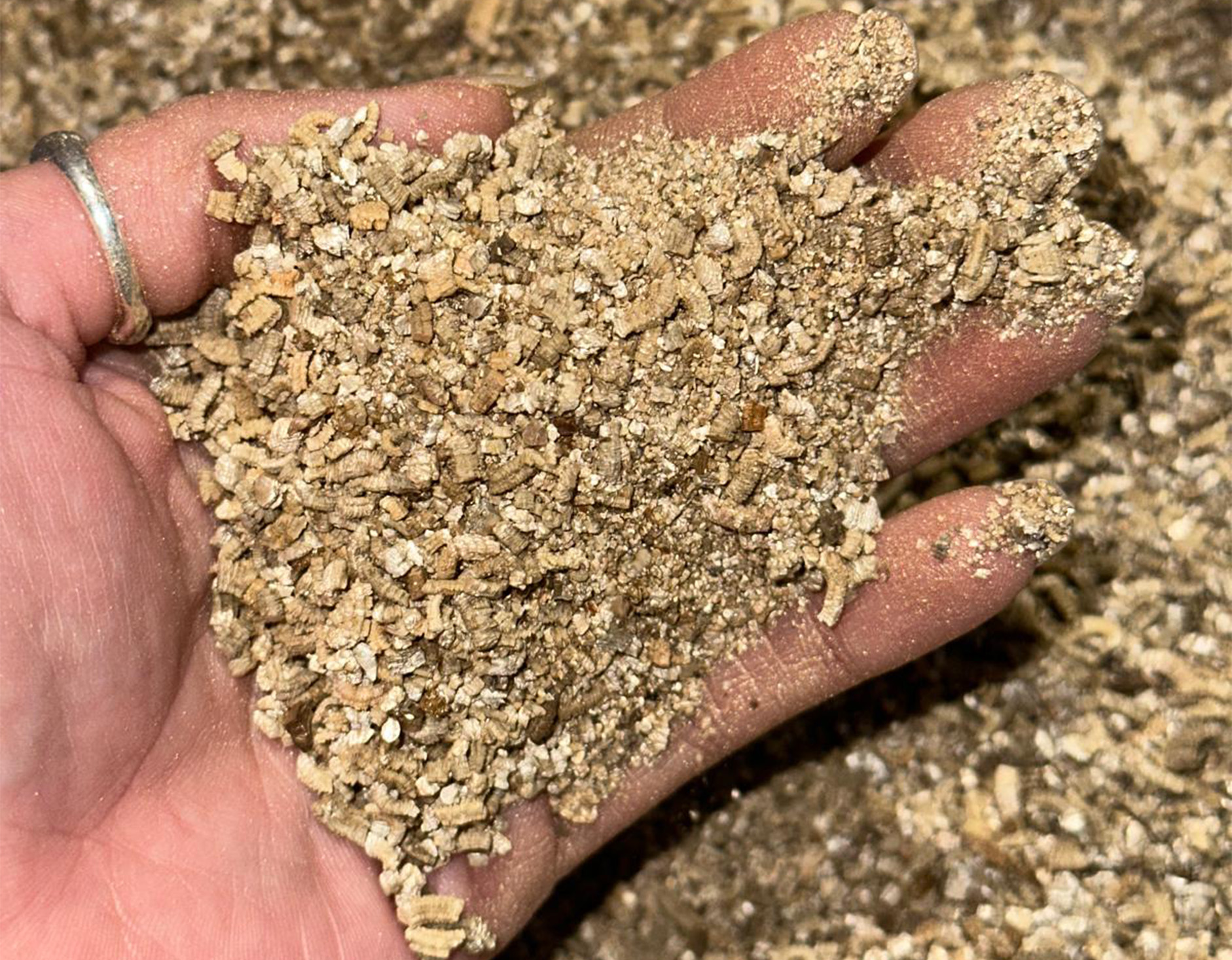 תפזורת ספיגה –Vermiculite - מסדרת Gold & Black